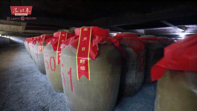 地下酒窖动态.gif